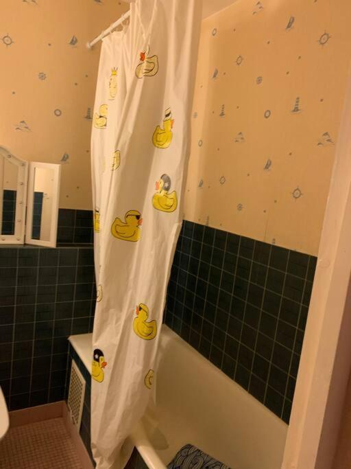 Appartement Confortable Et Tranquillite Assurer Tours Exteriör bild